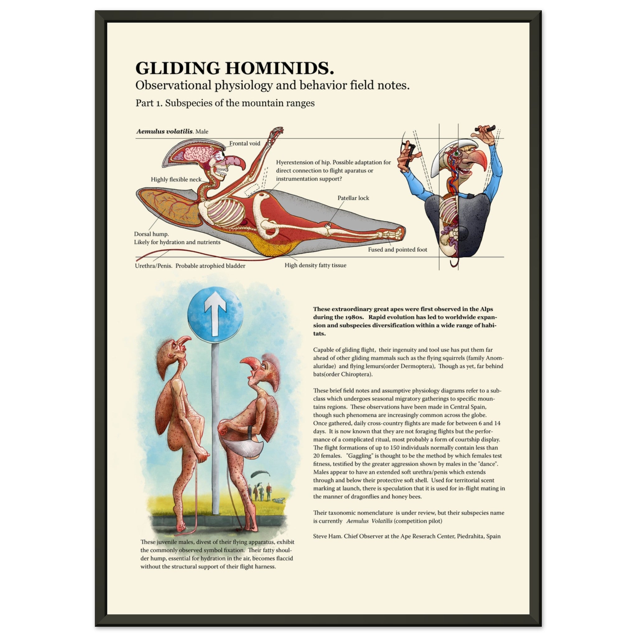 Gliding Hominids (metal frame)