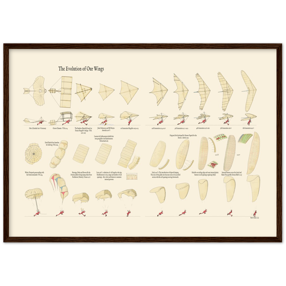 The Evolution of Our Wings Premium Matte Paper Wooden Framed Poster
