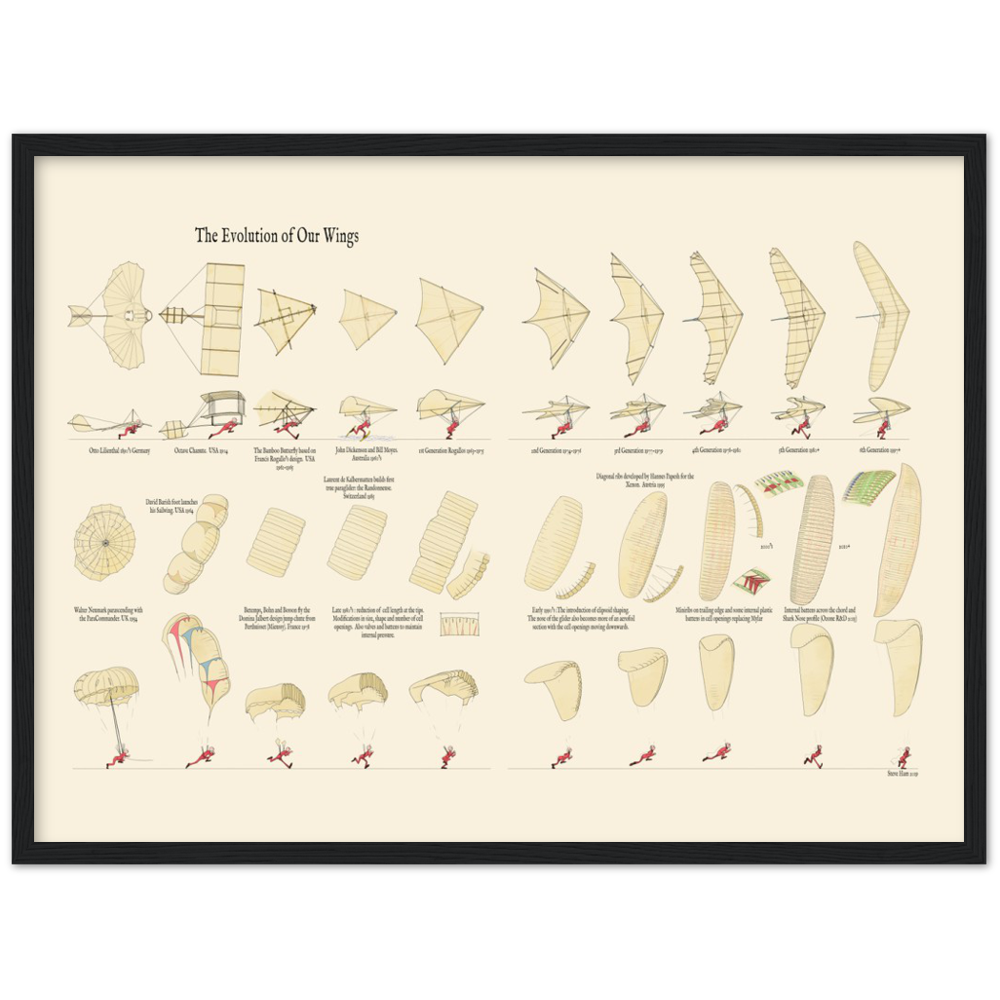 The Evolution of Our Wings Premium Matte Paper Wooden Framed Poster
